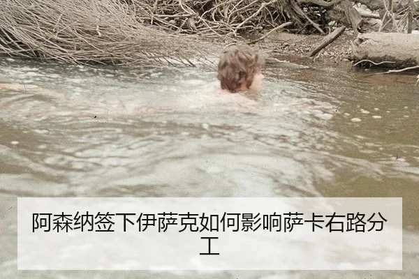 a-sen-na-qian-xia-yi-sa-ke-ru-he-ying-xiang-sa-ka-you-lu-fen-gong-2-658.jpg